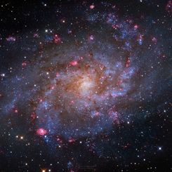  M33: The Triangulum Galaxy 