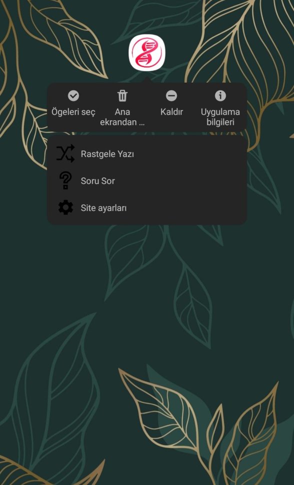 Uygulamanın üzerine basılı tutarsanız, sürümünüz uyumluysa bu seçeneklerle karşılaşacaksınız.
