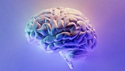 Glimfatik Sistem Nedir? Beyin Kendisini Nasıl Temizler?