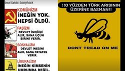 DİNAMİK BİR MİLLET KALKINMADA NEYE İHTİYAÇ DUYABİLİR
