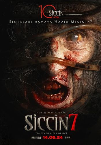 Siccin 7