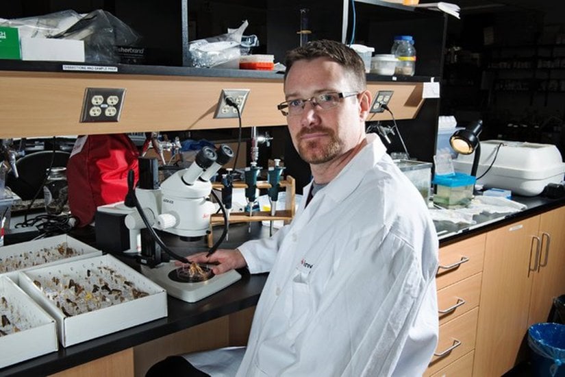 T. Ryan Gregory, Guelph Üniversitesi'ndeki laboratuarında.