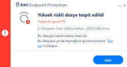 Trojan.Engima!YPE nasıl silinir?
