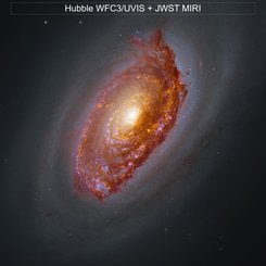 Webb'in M64 Görünümü