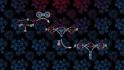 Haber-Bosch Döngüsü ile Dünyayı Beslemek: Kimya Mühendisliği, Gıda Üretim Verimliliğini Nasıl Arttırdı?