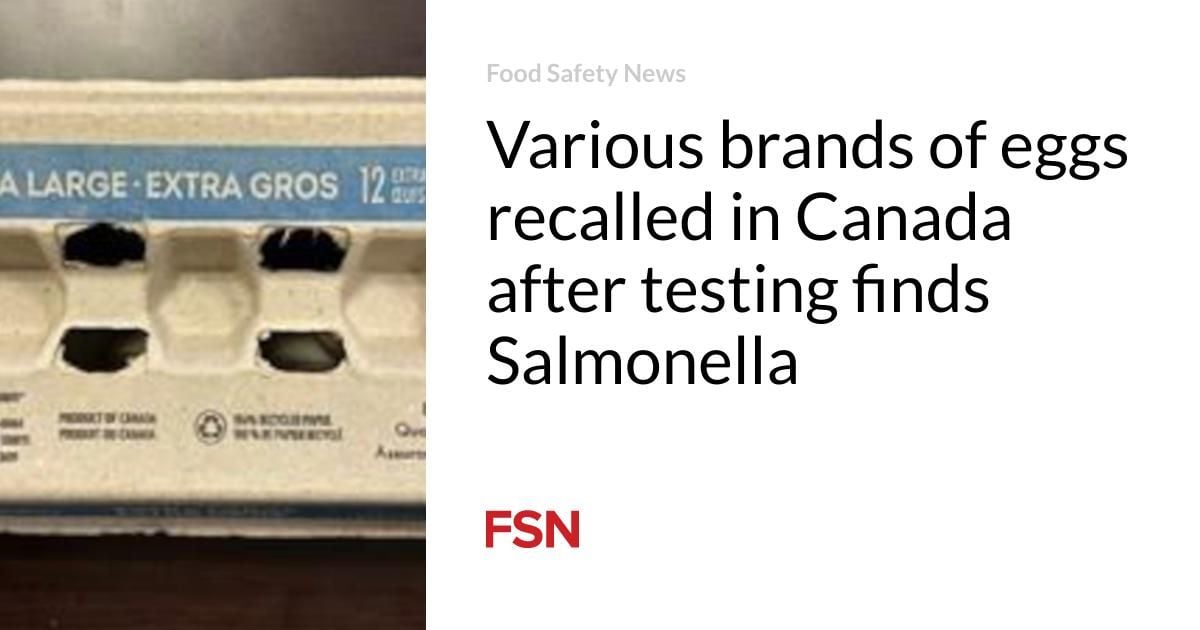 Canadian Health Agency Issues Major Egg Recall Due To Salmonella Risk