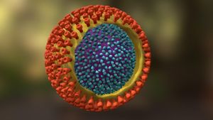 New Mathematical Model Addresses Hepatitis B Dynamics