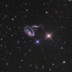 Arp 273