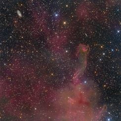  CG4: A Ruptured Cometary Globule 