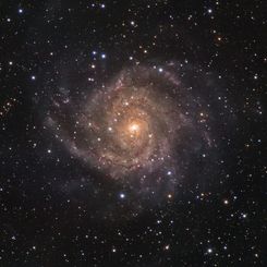  IC 342: Hidden Galaxy in Camelopardalis 