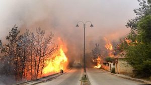 Northeastern Lebanon Battles Intense Forest Fires