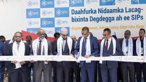 Somalia Launches First Nationwide Instant Payment System