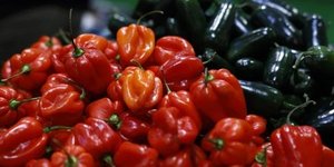 Wholesale Inflation Surges In January Amid Tariff Impact