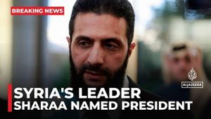 Syria's New Transitional President Promises Inclusive Government