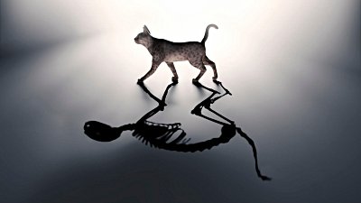 Schrödinger'in Kedisi: Kuantum Mekaniği, Atom Altı Parçacıkların Tuhaf Dünyası'nı Nasıl Tanımlıyor?