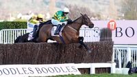 Intense Raffles new Grand National favourite as Inothewayurthinkin taken out