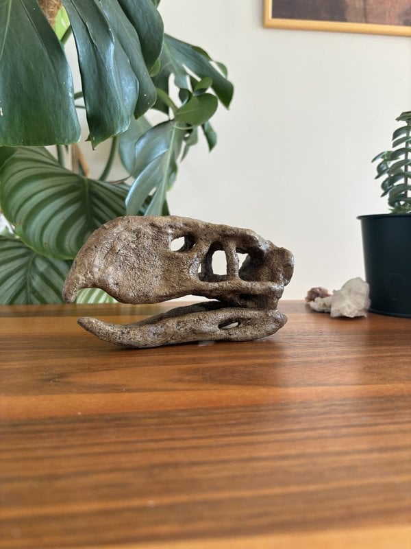 Titanis(Terror Bird) Mini Seramik Heykel