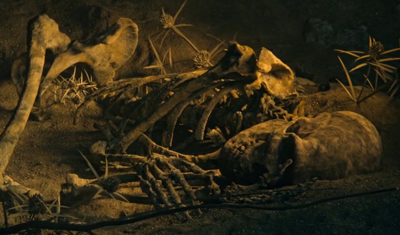 Şanidar Mağarasında Bulunan "Çiçek Gömü" Fosilinin Yapay Çizimi