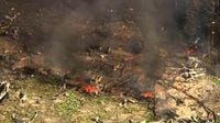 Tennessee bomb factory explosion that killed 19 was felt 21 miles away