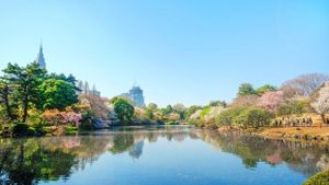 Shinjuku Gyoen Unveils Accessibility Mural To Promote Inclusivity