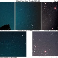Orion’un İçinden Geçen Bir 2000 Leonid’i