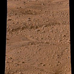 A New Horizon for Phoenix