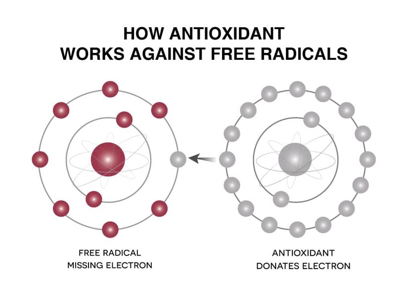 Antioksidanların nasıl etki ettiğini gösteren bir şema