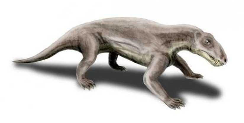 Biarmosuchia
