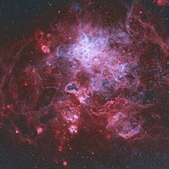  The Tarantula Nebula 