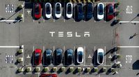 Tesla: Kläger werfen Elon Musks Unternehmen Manipulation der Kilometerzähler vor