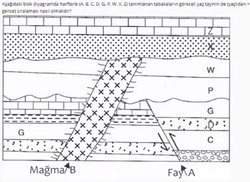 Verilen tabakaların göreceli yaş tayininin sıralaması nedir?