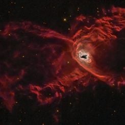 The Red Spider Planetary Nebula