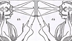 Düalizm Saçmalığı