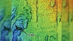 Şimdiye Kadarki En Net Deniz Tabanı Haritaları, Büyük Kanyon'u Çarpıcı Ayrıntılarla Gösteriyor
