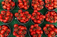 Tomato recall elevated by FDA due to heightened risk of illness and death