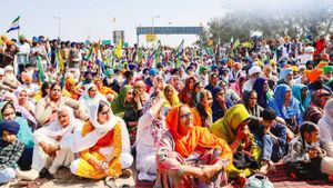 Haryana Farmers Stage Tractor March Amid Ongoing Protests