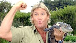 Steve Irwin: Yaban Hayata Adanmış Bir Ömrün Son Anları ve Irwin'in Son Sözü...