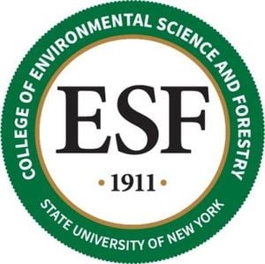 Solar And Forest Initiatives Drive Climate Action Forward