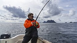 Morina Balıkları Küçülüyor: Aşırı Avlanma Kalıcı Değişimlere Yol Açıyor