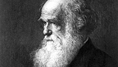 Darwin'in Kayıp Kütüphanesi Çevrimiçi Olarak Ziyarete Açıldı!