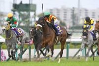 【大阪杯】春の古馬中距離王決定戦にステレンボッシュ、シックスペンスなど17頭が登録