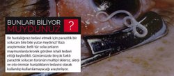 Parazitik Solucanlarla Bazı Hastalıkları Tedavi Etmek Mümkün Olabilir!