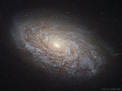 NGC 4414: Yumaklı Bir Sarmal Gökada