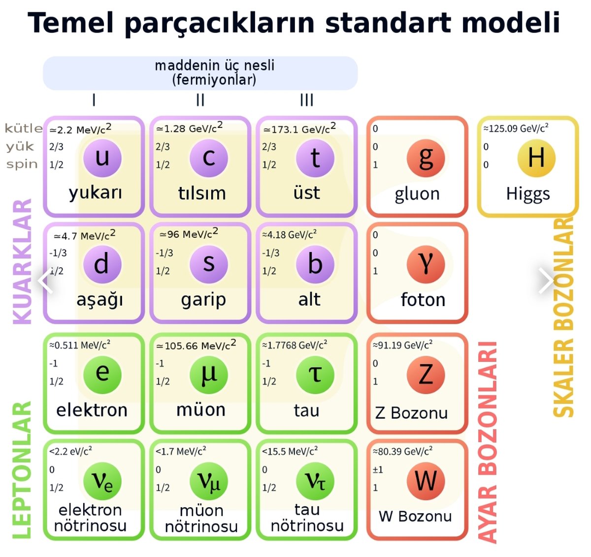 Atom altı parçacıklarının temeli olan Kuarkların ve leptonların da yapı ...