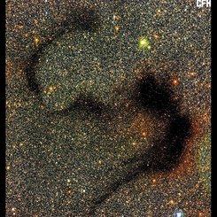 The Snake Nebula from CFHT