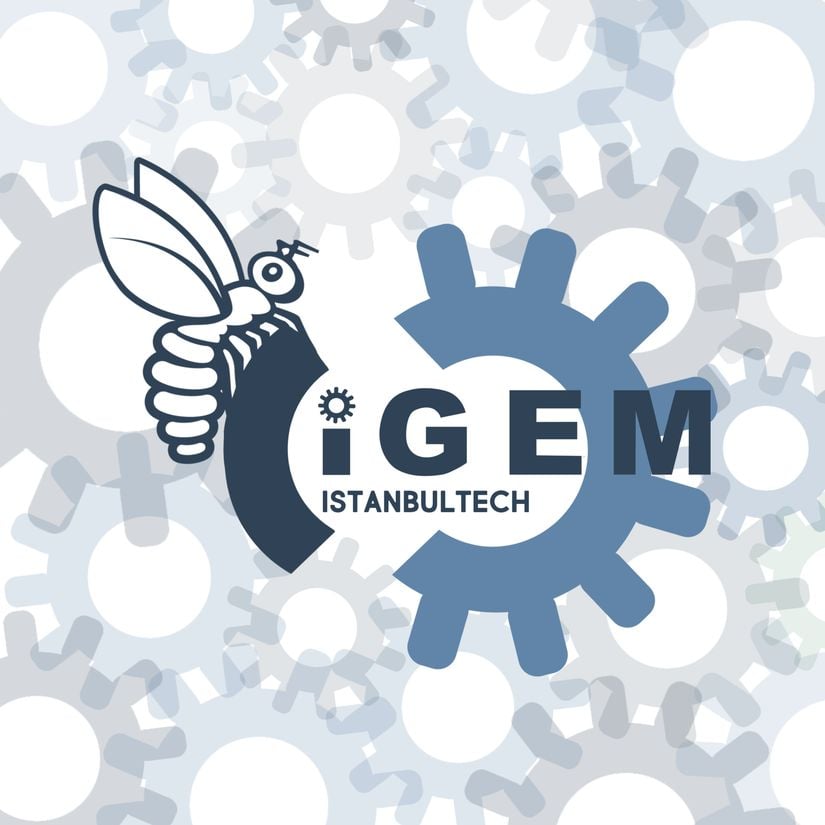 İTÜ iGEM Takımı