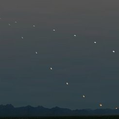 Analemma of the Moon