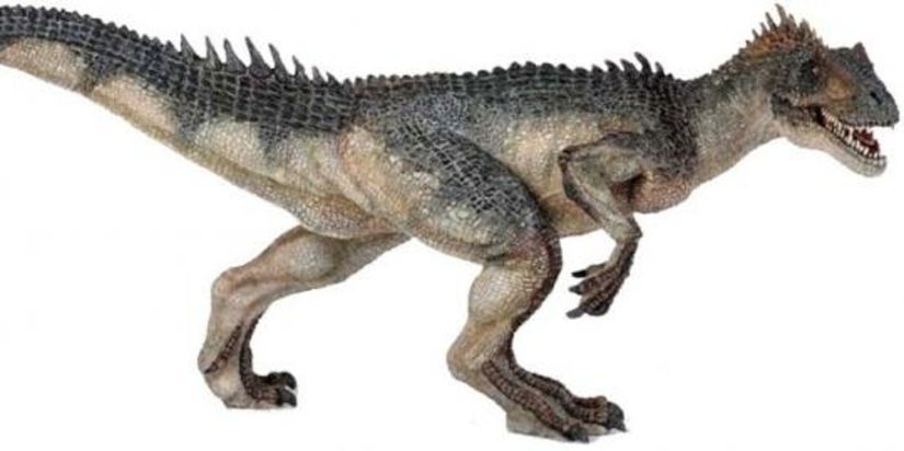 Allosaurus