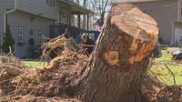 Cleanup continues after EF-1 tornado tears through Paulding County