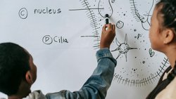 Geleceğin Hücreleri